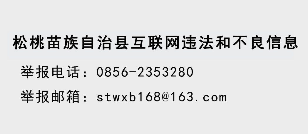 石敏到寨英镇调研