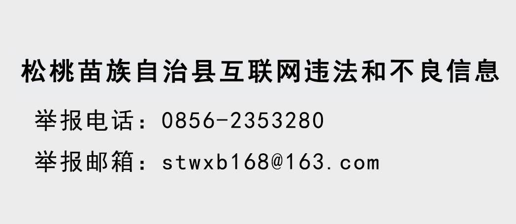 吴廷友到县政务服务中心调研