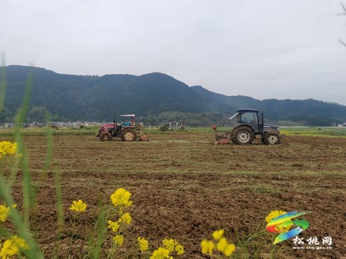 铁牛欢腾闹春耕 ——松桃1.8万余台农机助力农业现代化