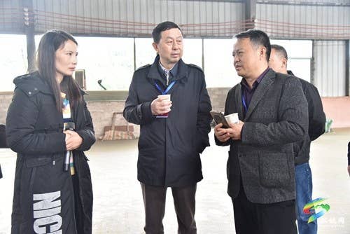 市政协调研组来松调研农业现代化工作