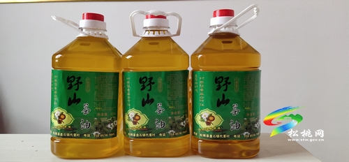 盘石镇打造全域旅游示范乡镇未来可期