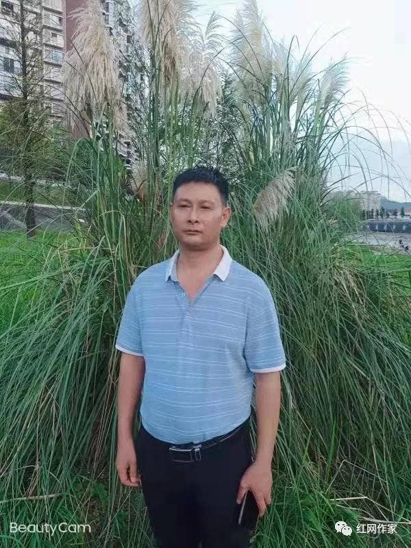印象“哈林”（小说）