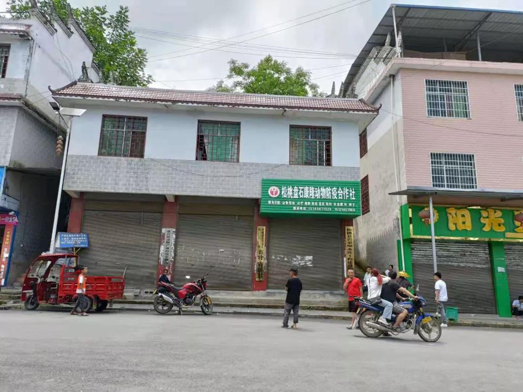 盘石镇人民政府资产拟处置公告
