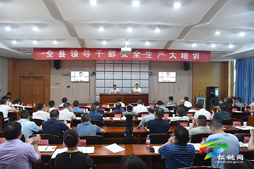 吴廷友为全县领导干部作安全生产大培训大宣讲