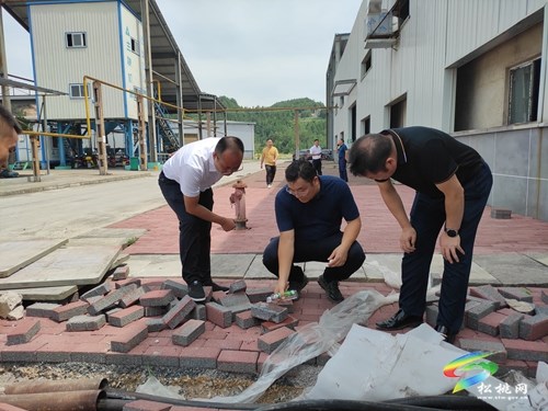 吴廷友调研督导锰产业高质量发展和锰污染治理重点项目