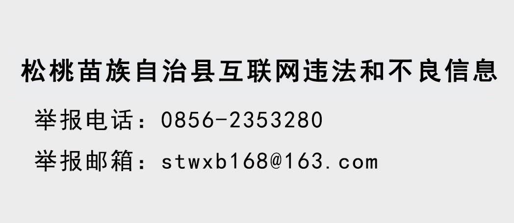吴廷友调研督导锰产业高质量发展和锰污染治理重点项目