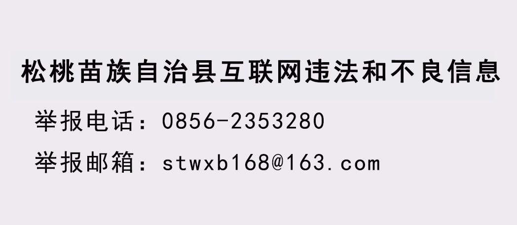 石敏率队到甘龙瓦溪永安调研