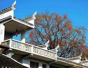 首届松桃摄影艺术作品展【九】