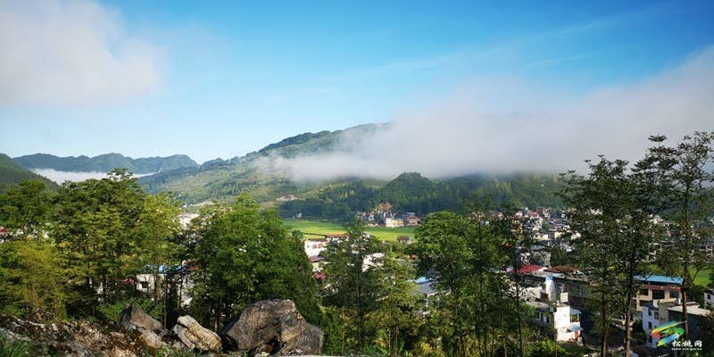 去友杠村，听花开的声音