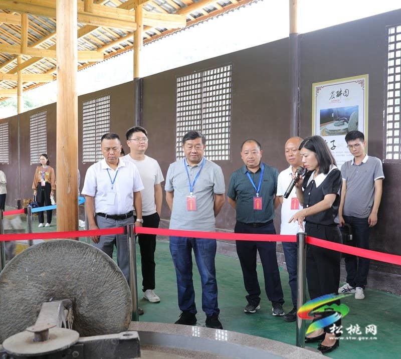 县人大常委会开展全县文化旅游产业化推进情况视察
