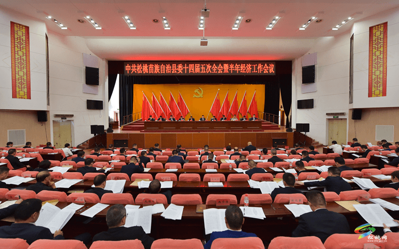 中共松桃苗族自治县委十四届五次全会暨半年经济工作会议召开