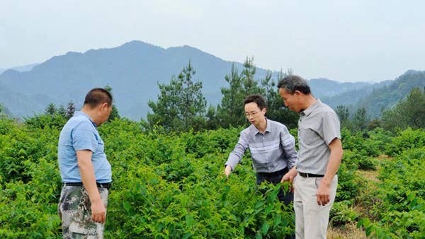 【清廉网络】秀山隘口：筑牢清廉底色 绘就和美乡村
