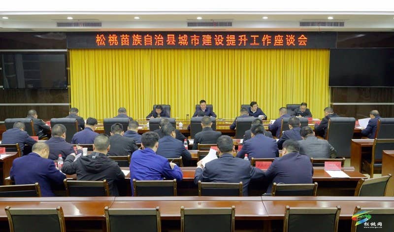 陈琪率县四家班子领导调研城市建设提升工作