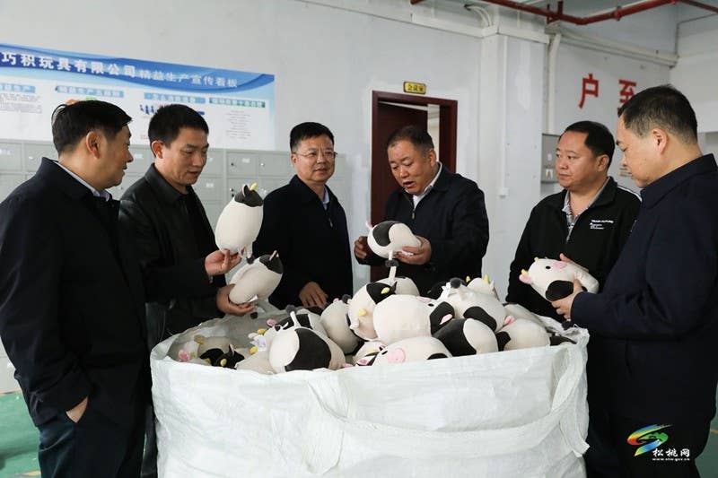 陈康率调研组来我县开展“高质量发展，代表在行动”活动调研