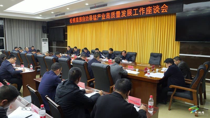 陈琪率队调研锰产业高质量发展工作