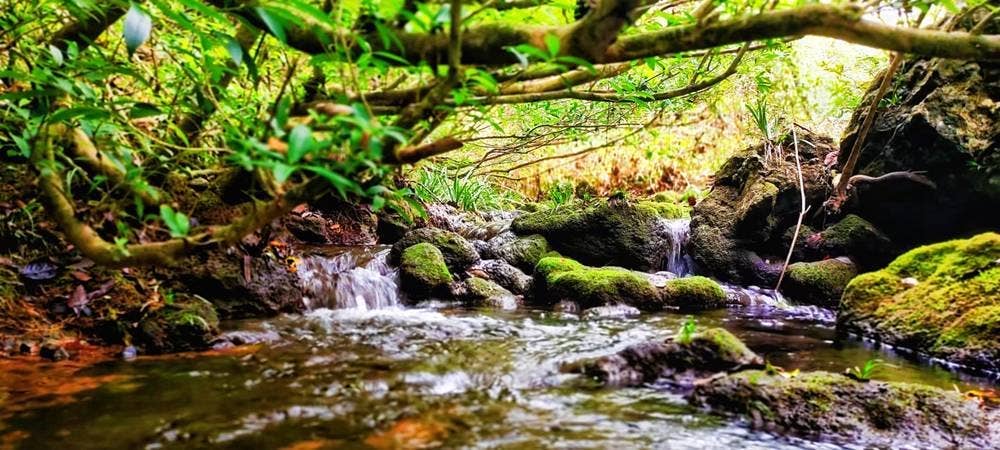 秀山宋农镇石家沟：被遗落的人间秘境
