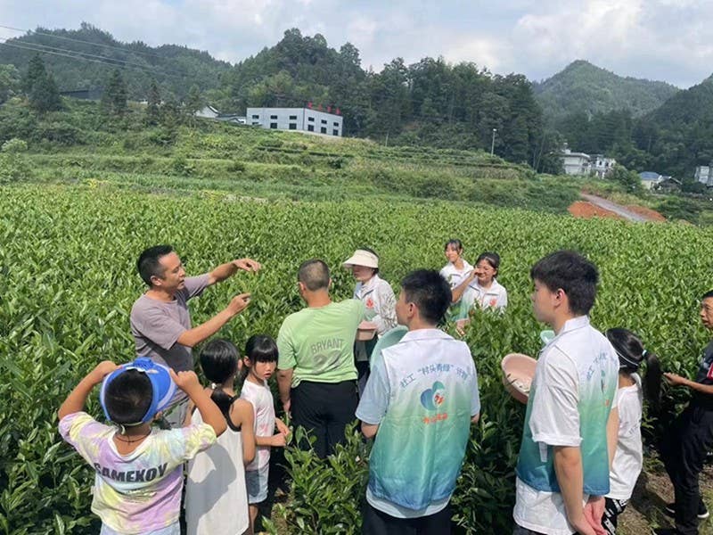 实现年均增收10万余元，秀山这位残疾人的奋斗故事很励志