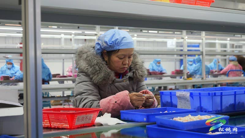 孟溪镇：企业节后复工复产劲头足