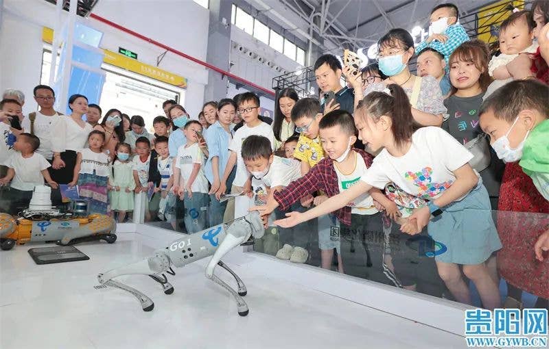 2024数博会，8月贵阳见！