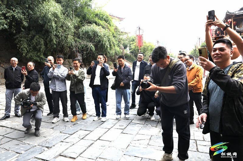 武陵盛景处 共话媒体情