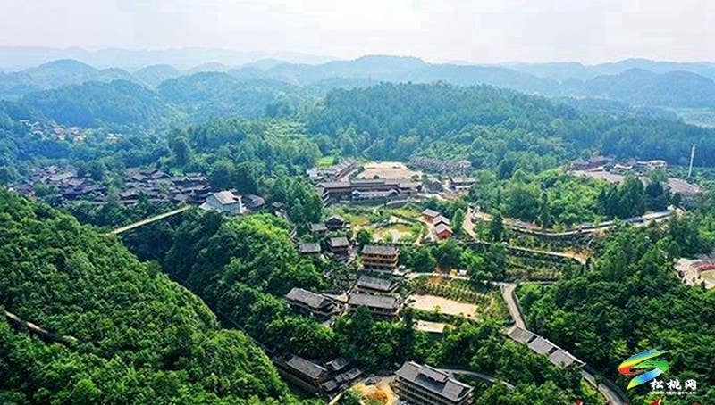 武陵盛景处 共话媒体情