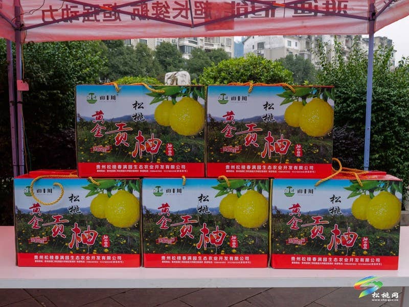 松桃春之味“美食松桃”——年货展销暨原味松桃第二届年货“集”正式开幕