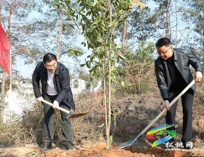 松桃开展2024年义务植树活动