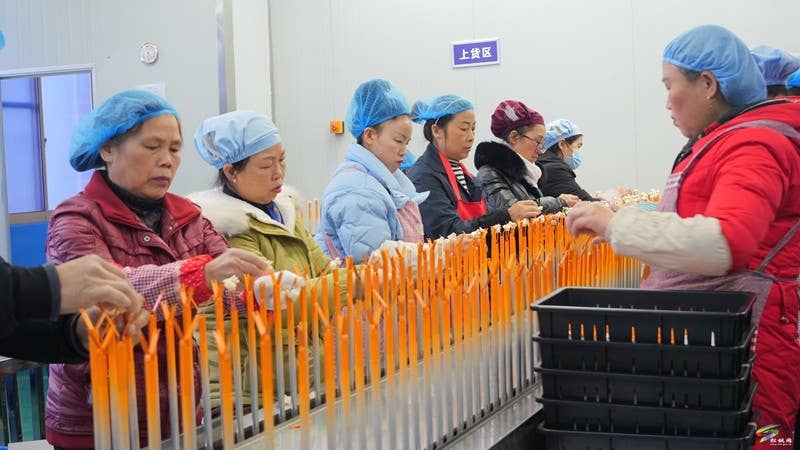 陈琪调研督导企业复工复产工作