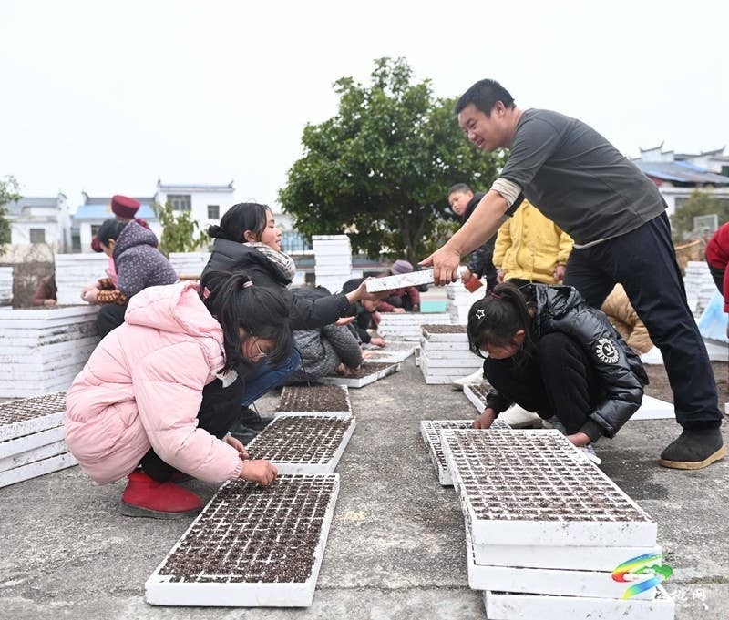 长兴堡镇：春耕“进校园” 学生体验春耕播种