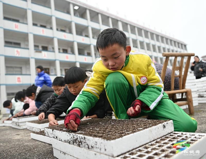 长兴堡镇：春耕“进校园” 学生体验春耕播种
