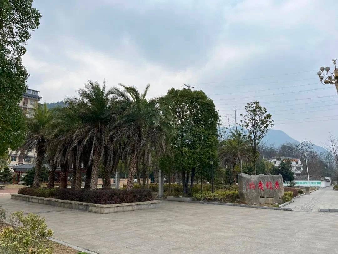 小小“口袋公园” 装满市民幸福感