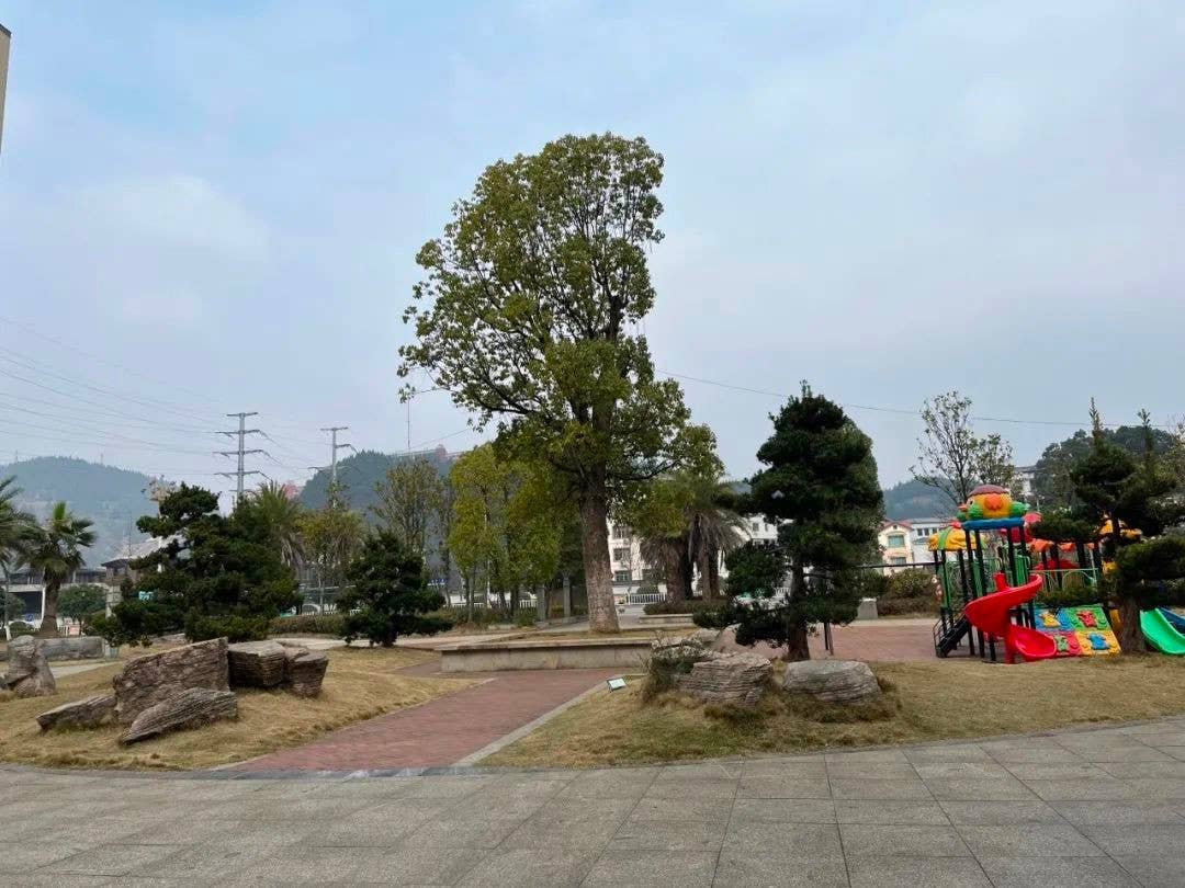 小小“口袋公园” 装满市民幸福感