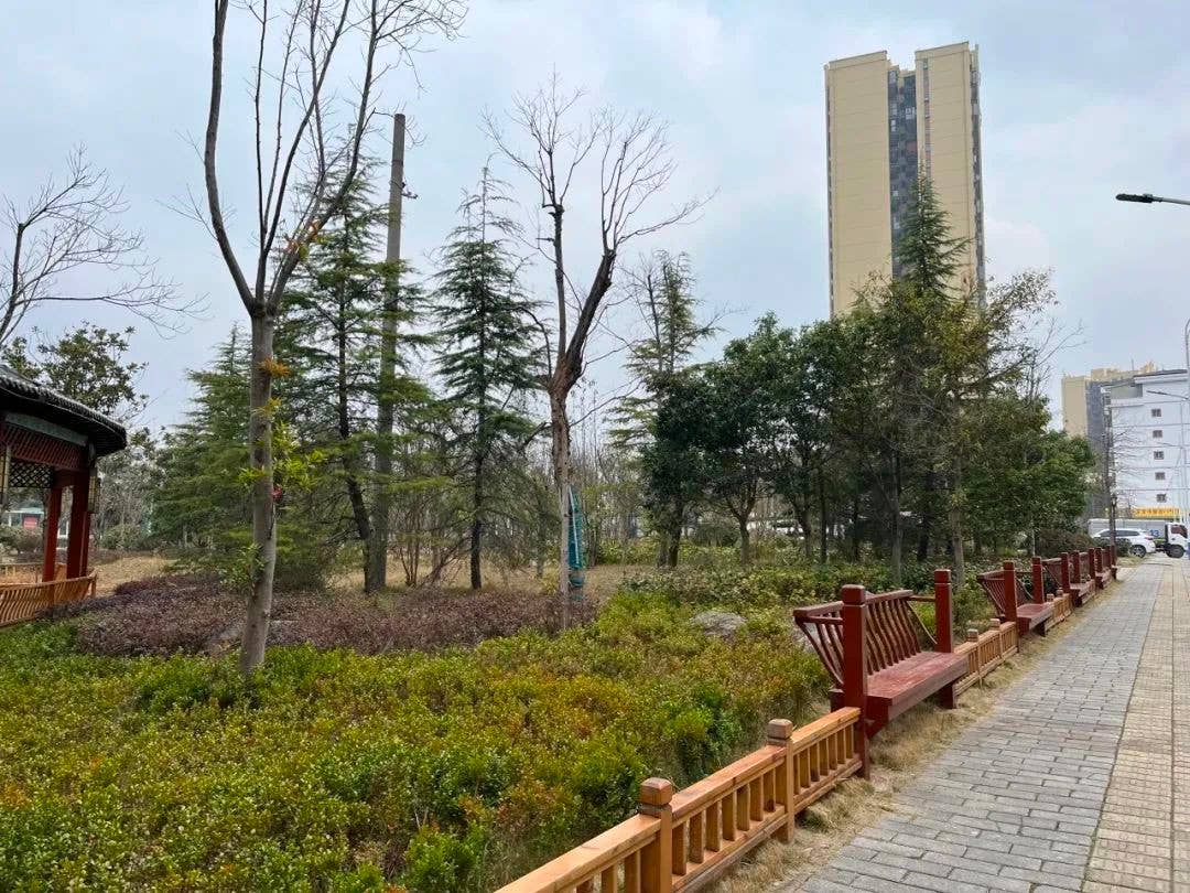 小小“口袋公园” 装满市民幸福感