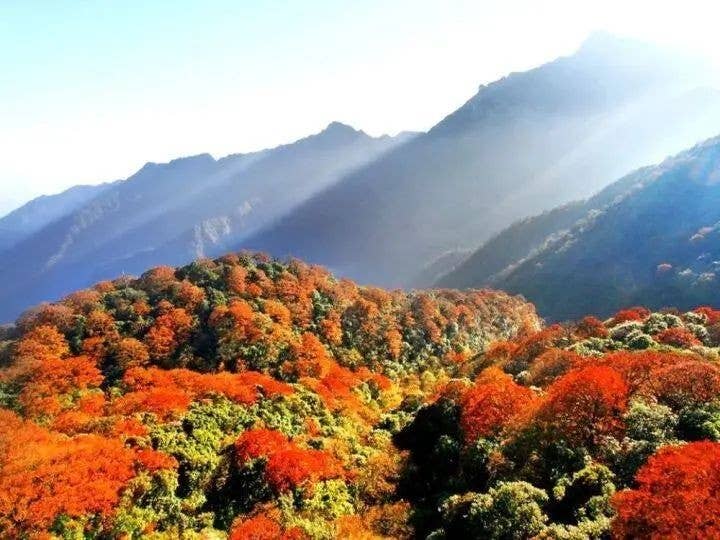 即将亮相央视！这次，跟着《2024中国诗词大会》畅游梵净山