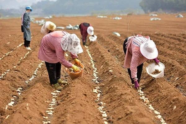 【奋进的春天】兴义：17亿金融“春雨”助力春耕备耕【兴义融媒】