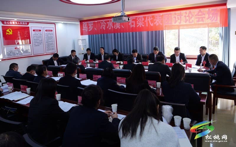 县十七届人大三次会议进行第二次分组审议