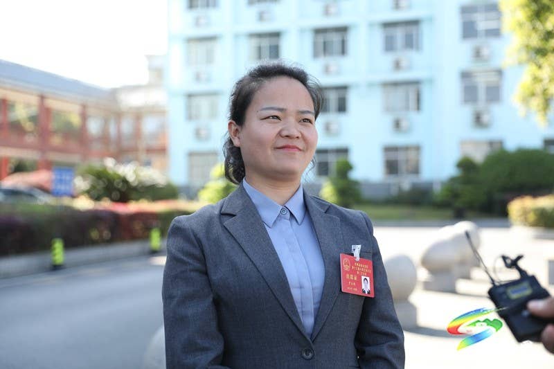 县十七届人大三次会议进行第二次分组审议