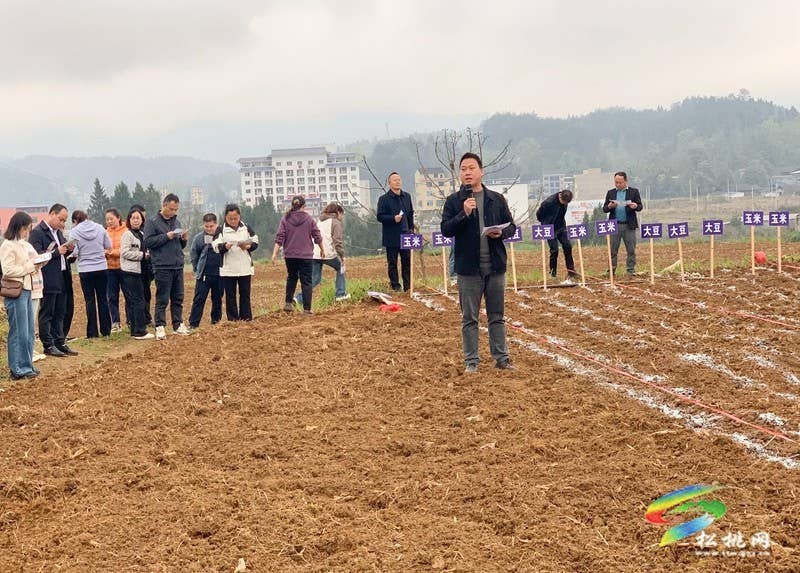 【奋进的春天】松桃：开展大豆玉米带状复合种植技术培训