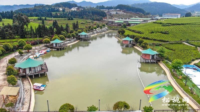 【奋进的春天】普觉镇：特色民宿“点亮”乡村旅游
