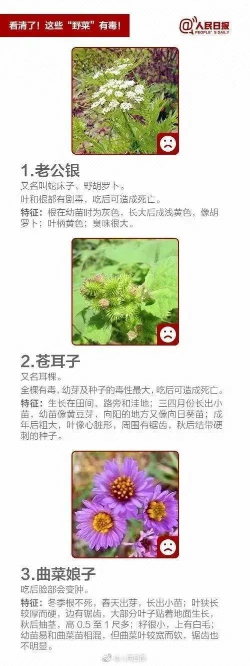 清明假期踏青注意！这些“野菜”有毒，一株都别碰！