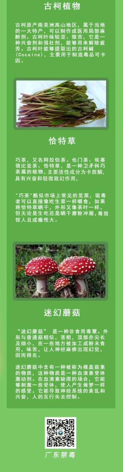 清明假期踏青注意！这些“野菜”有毒，一株都别碰！