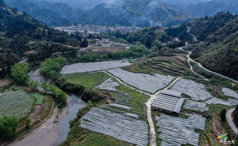 【奋进的春天】沙坝河乡：40余吨果酒即将上市