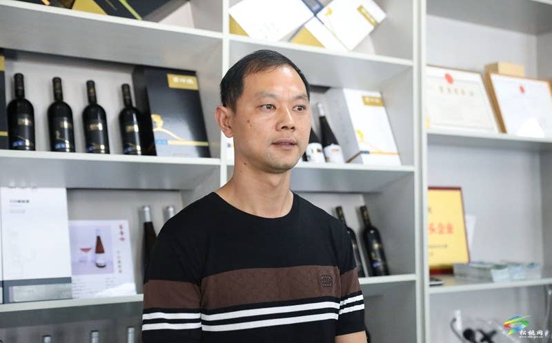 【奋进的春天】沙坝河乡：40余吨果酒即将上市