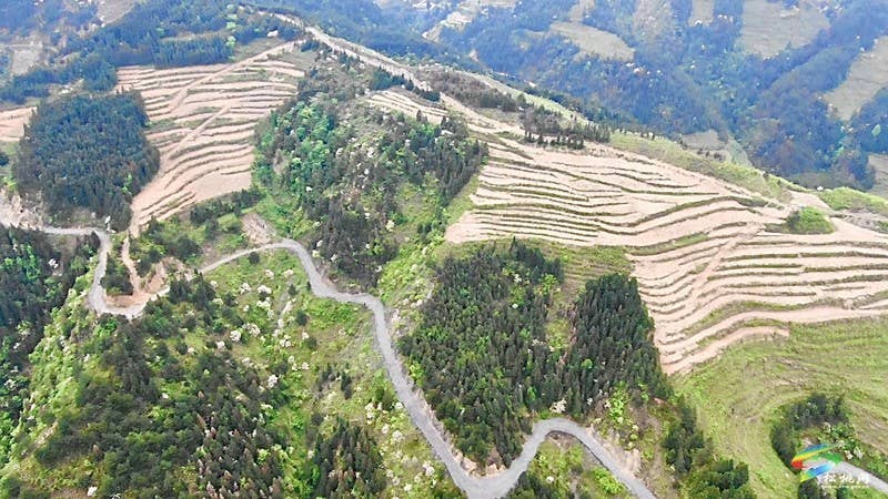 【奋进的春天】平头镇:向土地要财富 让荒山变金山