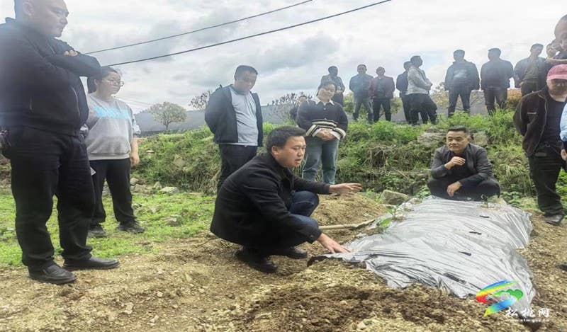 【奋进的春天】省市县科技特派员合奏“椒响曲”