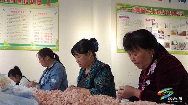 【奋进的春天】松桃:社区微工厂 灵活促就业