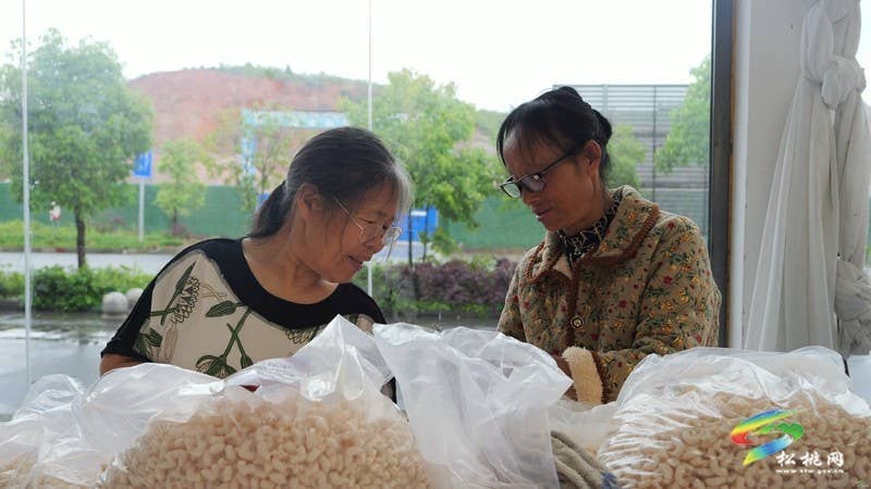 【奋进的春天】松桃:社区微工厂 灵活促就业