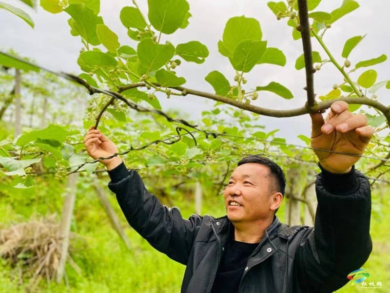 技术服务 资金筹措 产销对接 产业党支部推动土特产成产业