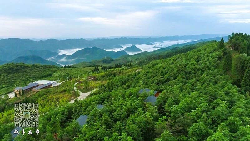 山水同源、武陵同梦！2024武陵文旅大会何以咸丰