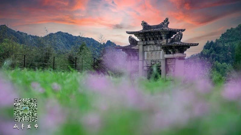 山水同源、武陵同梦！2024武陵文旅大会何以咸丰